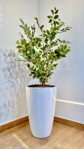 Kit 2 Vasos Plantas Tipo Vietnamita Vitrificado 70cm E 50cm