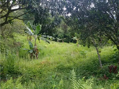 Finca En Vender En Cocorná