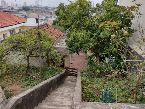 Imagem 6 de 15 de Oportunidade A 250m Da Futura Estação Aricanduva 490m²!! Permuta - Te00104a