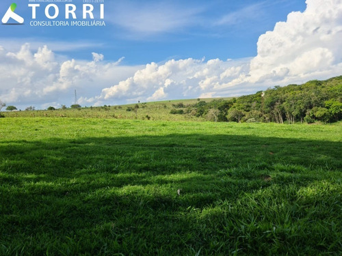Belo Haras À Venda Em Porto Feliz - Ha00013 - 69329721