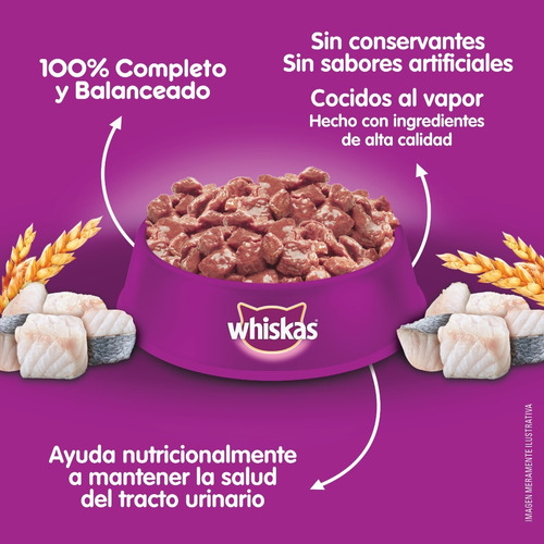 Imagen 10 de 10 de Whiskas Combo Alimento Seco Pollo Y Humedo Mix Gato Adulto