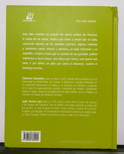 Libro Arileso Y Mas Ariles Los Animales En El Son Jarocho (Usado)