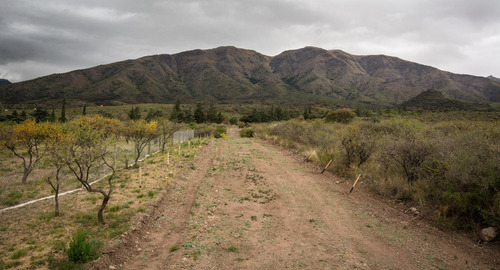 Cuarto De Hectárea En Zona Muy Turística