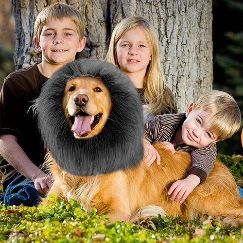 Melena De Perro León Disfraz De Perro León Disfraz Realista