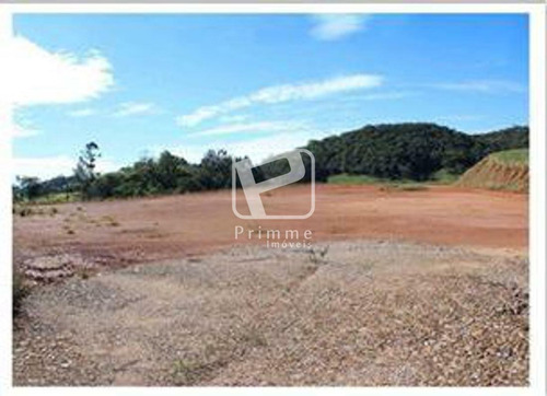 Imagem 1 de 5 de Terreno Itajai - 2703