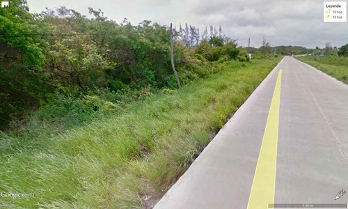 Venta Terreno 10 Hectáreas Carretera Tuxpan - Tamiahua Veracruz