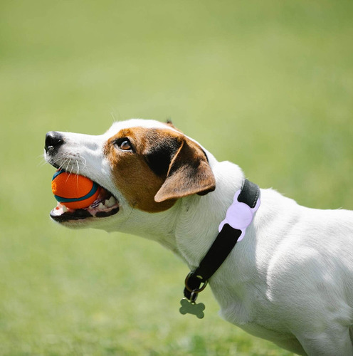 Soporte Para Collares De Perro Swincho Airtag Para Apple Air
