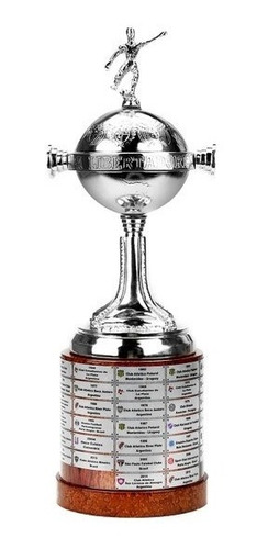 Copa Libertadores Todos Los Campeones A La Actualidad 35 Cm 