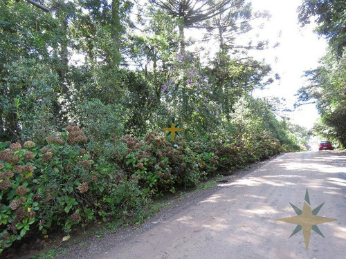 Imagem 1 de 2 de Terreno - 368