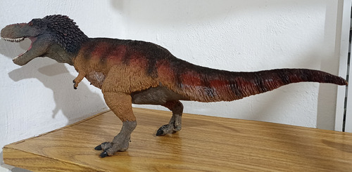 Tyrannosaurus Safari 