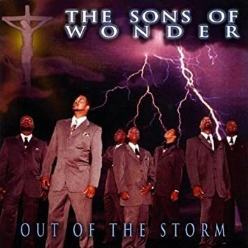 Sons Of Wonder Out Of The Storm Usa Import Cd