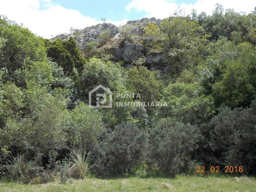 Imagen 13 de 30 de Venta Chacra 96has En Minas, Lavalleja