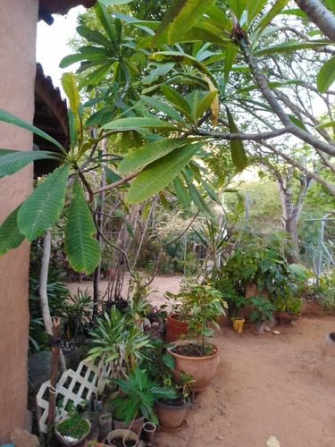 Imagen 2 de 13 de Casa En Playa Guacuco Isla De Margarita