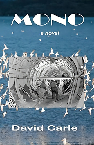 Mono: A Novel, De Carle, David. Editorial Createspace Independent Publishing Platform, Tapa Blanda En Inglés