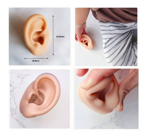 Imagen 5 de 6 de Modelo Oreja De Silicona