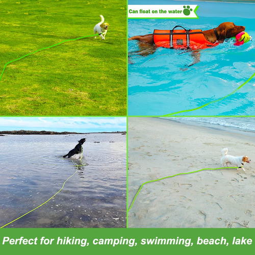 Correa Para Perro Vivifying Floating Long De 6 M, Color Verd
