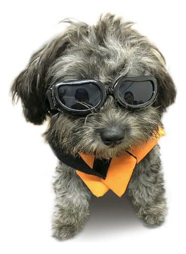 Gafas De Sol Para Perros Pequeños Cachorros Ojos Protección