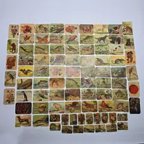 Comprar Antiguas Figuritas Cromos 1930 Lote X 85 Ro 2300