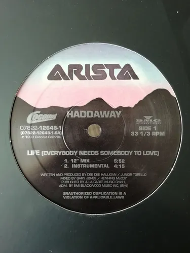 Haddaway - Life (everybody Needs Somebody To Love) (12 ) (Usado)