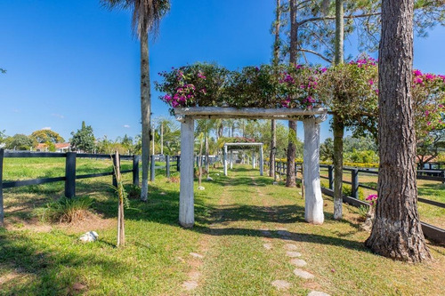 Imagem 3 de 30 de Fazenda À Venda No Bairro Sarapuí - Sarapuí/sp - O-8420-17443