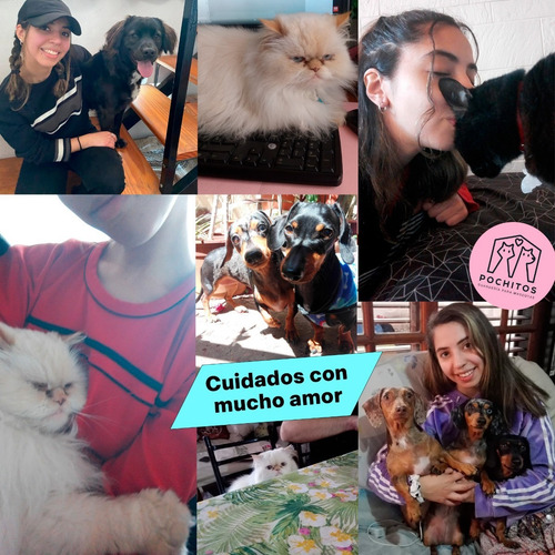 Imagen 2 de 10 de Guardería Y Pensionado Para Mascotas - Perros O Gatos