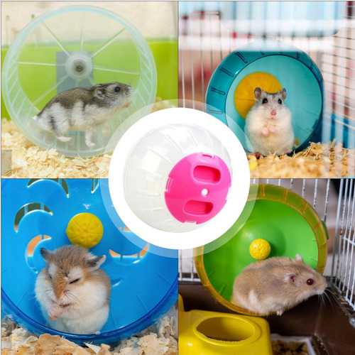 Pequeña Bola De Hámster Bola De Ejercicio De Hámster Juegos