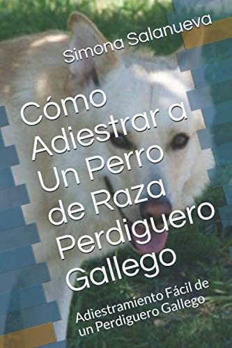 Libro: Cómo Adiestrar A Un Perro De Raza Perdiguero Gallego: