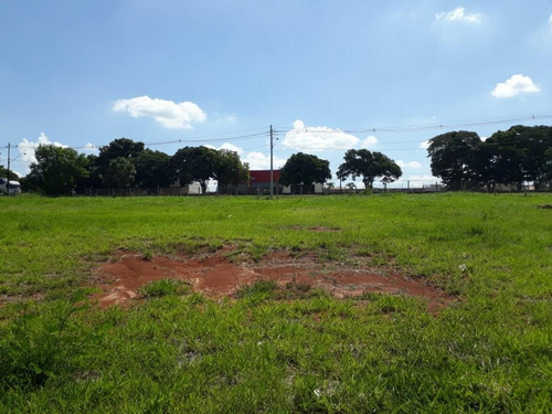 Imagem 3 de 3 de Terreno À Venda, 328 M² Por R$ 190.000,00 - Centro - Saltinho/sp - Te1017