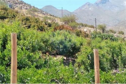 Imagen 21 de 22 de Vende Monte Patria Iv Región Colliguay