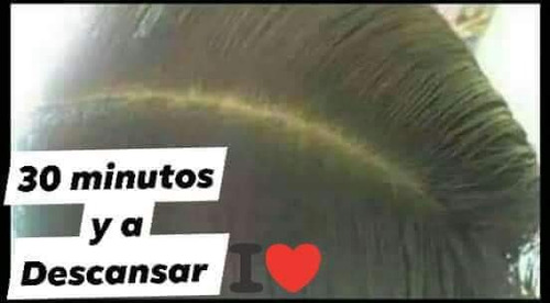Shampoo Piojos Y Liendres