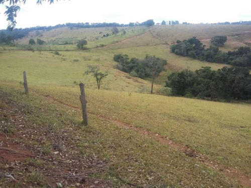 Imagem 21 de 29 de Fazenda De Gado Com 263 Hectares Itajuba - 36525