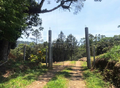 Sítio À Venda Em Luiz Alves/sc - 1436