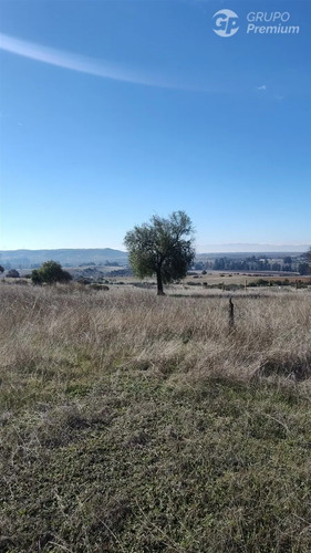 Oportunidad Parcela En Venta En La Estrella. Trato Directo