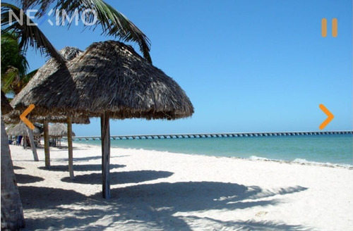 Imagen 4 de 8 de Terreno En Carretera Merida Progreso Gran Plusvalia Cerca De Playas