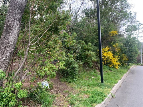 Terreno Con Anteproyecto Para Edificio Aprobado