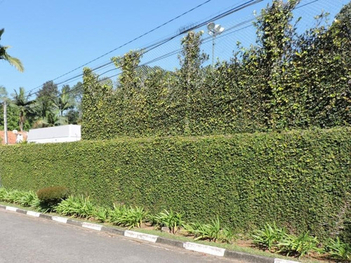Imagem 3 de 7 de Terreno Residencial À Venda, Chácara Eliana, Cotia - Te0507. - Te0507