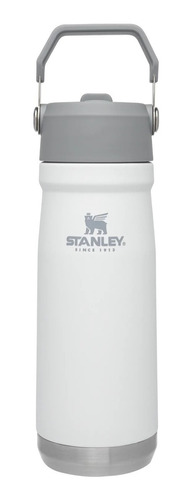 Botella Stanley 650ml 