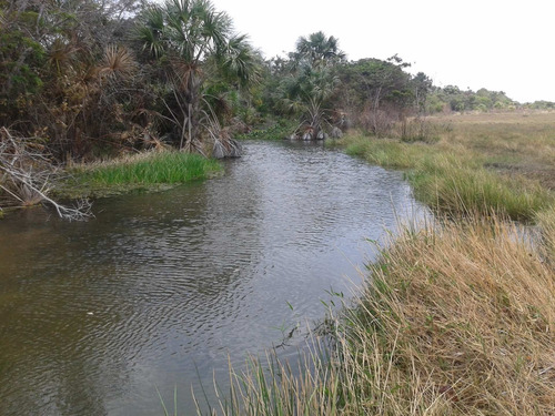 Imagen 15 de 24 de Finca De 9.080 Ha Guarico Con Pista Aterrizaje Autorizada
