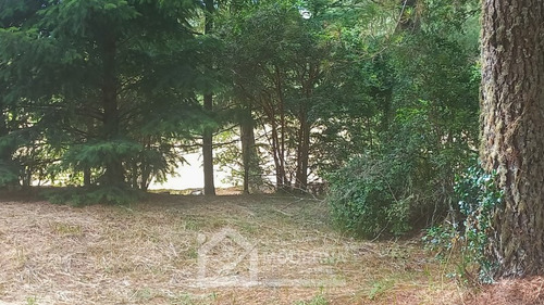 Parcela 6000 M2 En Condominio Con Derecho A Bajada Al Lago