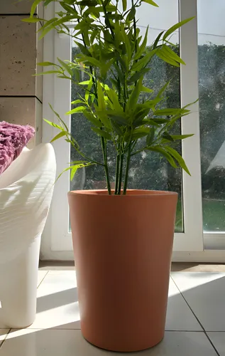 Maceta Minimalista De Plástico Gerbera Blanca Exterior O Int Color Terracota