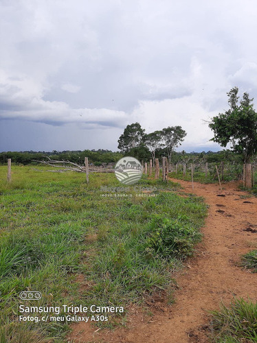 Imagem 8 de 11 de Venda Sítio Vale Do Anari Em Rondônia - Sig309