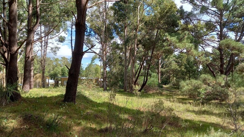 Imagen 10 de 17 de Lote En Venta En La Barra (ref: Atm-6651)