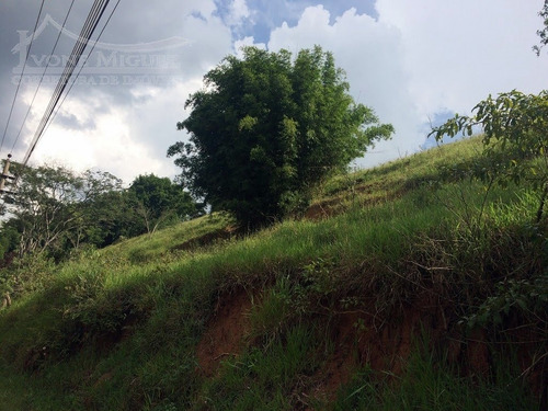 Imagem 7 de 15 de Sítio Em Três Porteiras - Paty Do Alferes - 1517