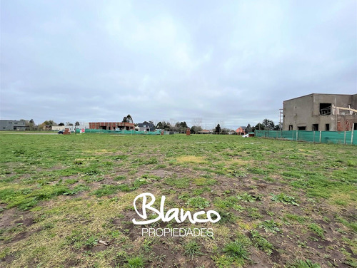 Terreno Lote  En Venta En Santa Elisa, Pilar Del Este, Pilar