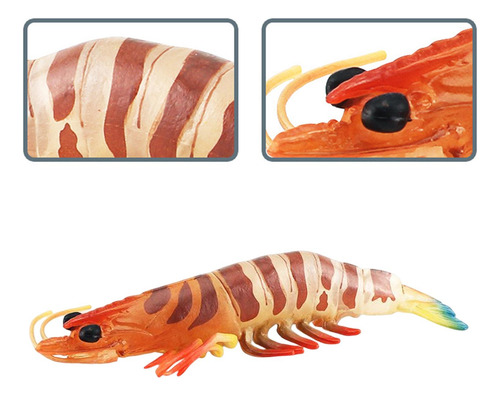 Colección De Modelos De Juguetes Educativos De Ciencia
