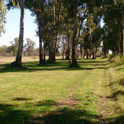 Imagen 10 de 28 de Oportunidad Etapa 3 Terreno Lote En Venta Barrio Cerrado Pinares Cc, Exaltación De La Cruz, G.b.a. Zona Norte