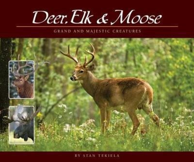 Deer, Elk & Moose - Stan Tekiela (paperback)