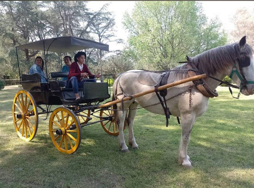 Estancia En Venta - Haras - Turismo Rural En Venta