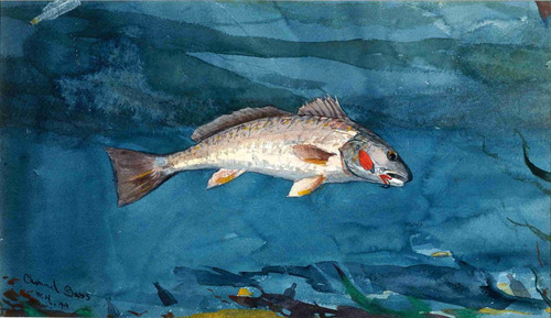 Lienzo Canvas Arte Naturaleza Pesca Winslow Homer 50x86
