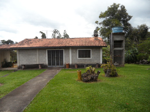 Espetáculo De Sítio Em Mairinque C/41.000m2 Piscina, Frutas